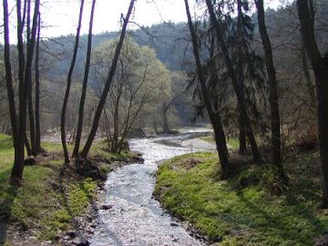 obrázek nenalezen