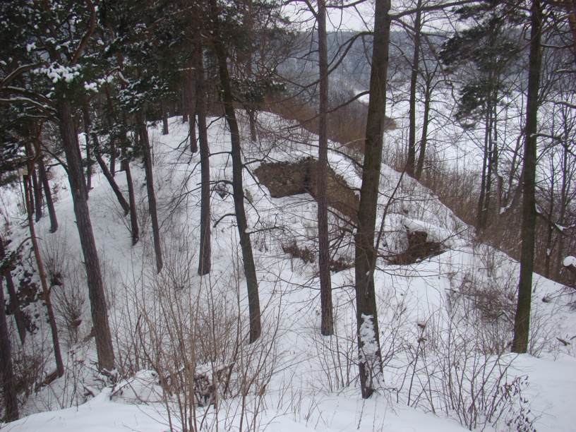 Velešín - zřícenina hradu